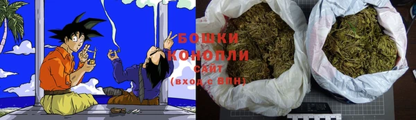 крисы Арсеньев
