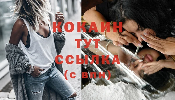 крисы Арсеньев