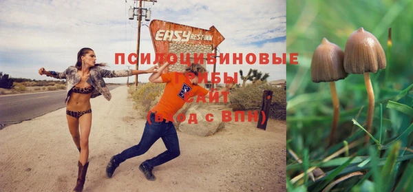 a pvp Армянск