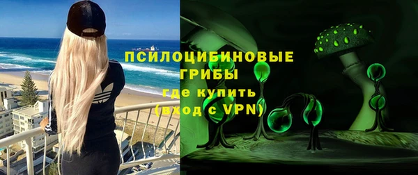 соль ск Дмитриев