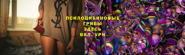 крисы Арсеньев